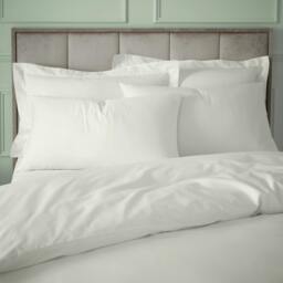 Rackhams 180 Thread Count Egyptian Cotton Standard Pillow case Pair Cream - Standard - Cream - thumbnail 3