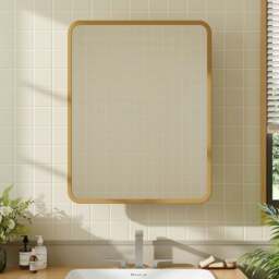 Rackhams Surface Mount Rectangular Bathroom Storage Mirror Cabinet with Round Corner, DM0921