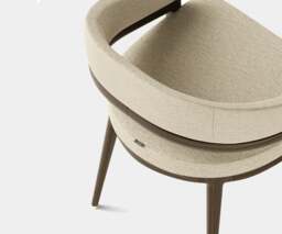 Rackhams Aster Erick Dining Chair: Elegance with Minimalistic Brass Finishes - thumbnail 4