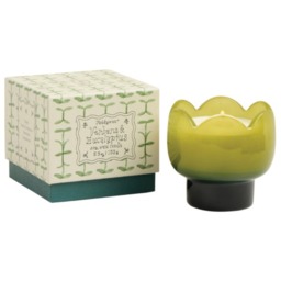 Rackhams Paddywax Tulip Range Glass Candle - 5.5oz - Green - Wisteria & Willow - thumbnail 6
