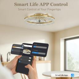 Rackhams Ceiling Fans with Lights and Remote & App Control for Bedroom, Gold - thumbnail 4