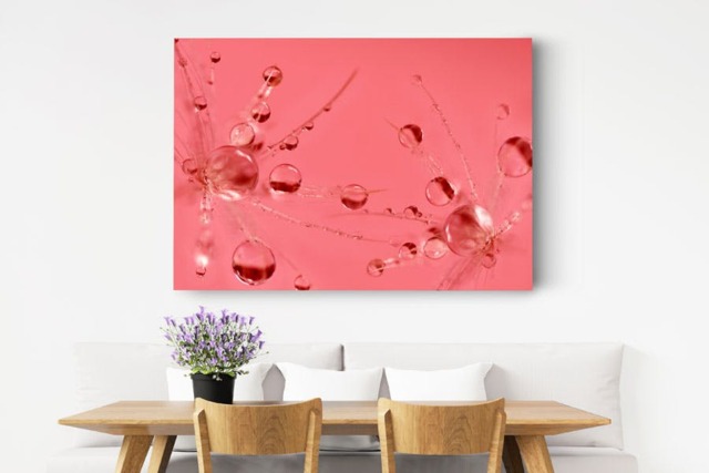 Rackhams Pink Bubbles - Framed Print 16 x 12 inch - image 1
