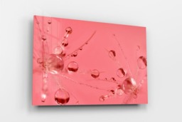 Rackhams Pink Bubbles - Framed Print 16 x 12 inch - thumbnail 2