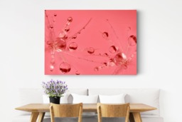 Rackhams Pink Bubbles - Framed Print 16 x 12 inch