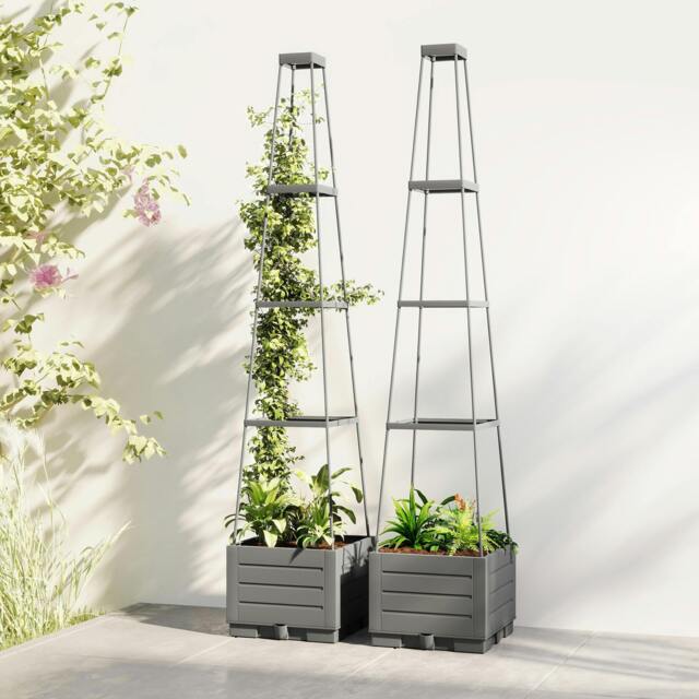 Rackhams 2 Pack Raised Garden Bed with Trellis and Removable Drainage Tray - image 1
