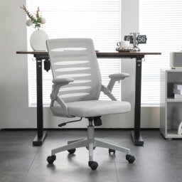 Rackhams Mesh Office Chair Home Swivel Task Chair w/ Lumbar Support, Arm, Grey