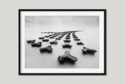 Rackhams Silent Guardians - Framed Print 30 x 20 inch - thumbnail 1