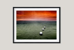 Rackhams Elements of Life - Framed Print 16 x 12 inch - thumbnail 2