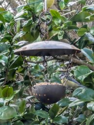 Rackhams Chain Hanging Bird Feeder - thumbnail 3