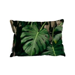 Rackhams Monstera Leaves In Home Interior (Cushion) - 30cm x 45cm