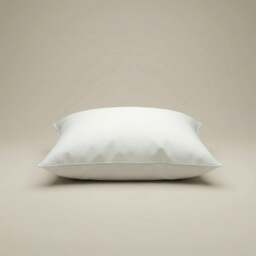 Rackhams Cushion Insert