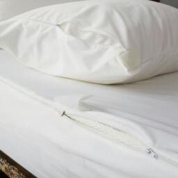 Rackhams Anti Bed Bug Pillow Protector - Standard - 4 Pack - thumbnail 2