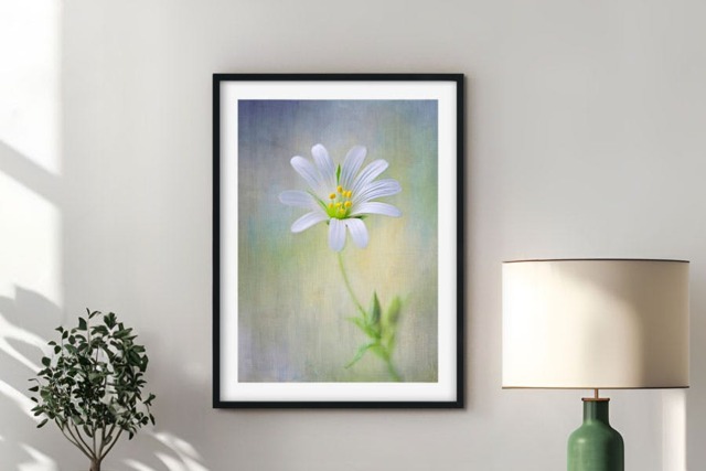 Rackhams Spring Spirit - Framed Print 16 x 12 inch - image 1
