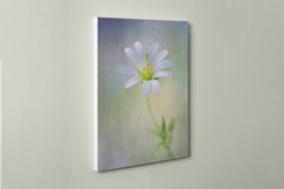 Rackhams Spring Spirit - Framed Print 16 x 12 inch - thumbnail 3