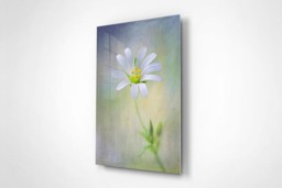 Rackhams Spring Spirit - Framed Print 16 x 12 inch - thumbnail 2
