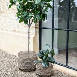 Rackhams Two Woven Baskets - H38 x W38 x D38cm, 2.6kg - Poly rattan with a steel frame.