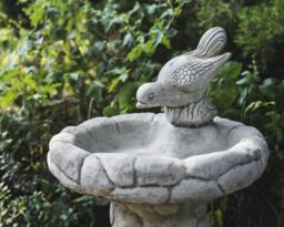 Rackhams Enchanting Stone Cast Pebble Design Birdbath with Bird - thumbnail 3