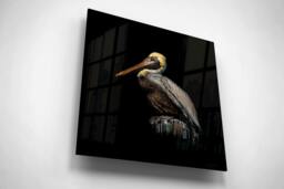 Rackhams Guardian of the Coast - Framed Print 20 x 20 inch - thumbnail 2