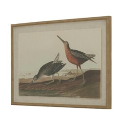 Rackhams Flora & Fauna Collection Snipes Beaded Linen Framed Wall Art - Brown/White/Black - Brown/White/Black - 45cm x 2cm x 62cm - Brown/White/Black - thumbnail 2