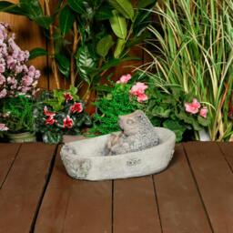 Rackhams Adorable Stone Cast Bathing Hedgehog Garden Ornament - thumbnail 3