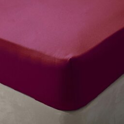 Rackhams Brushed Cotton Fitted Sheet - Red - Kingsize - Red - 100% Brushed Cotton - thumbnail 2