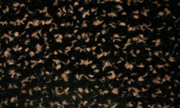 Rackhams Indoor Scraper Door Mat – Anti-Slip Vinyl Backed Dirt Trapper Entrance Mat – Brown – Multiple Sizes - 60 x 90cm - thumbnail 3