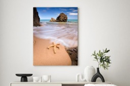 Rackhams Starfish - Framed Print 30 x 20 inch - thumbnail 1