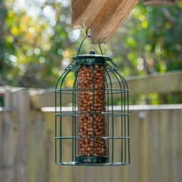 Rackhams Pack of 3 Samuel Alexander Metal Hanging Bird Nut Feeder with Squirrel Guard & Pack of Nut Feed - thumbnail 2