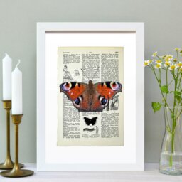 Rackhams Peacock butterfly vintage book page art print - Black - thumbnail 3