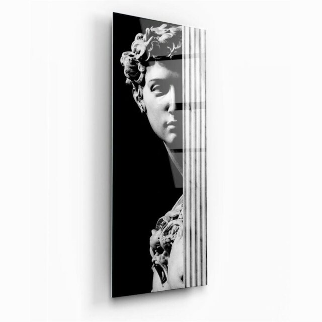 Rackhams Shadowed David Glass Wall Art - 45 x 120 cm - Tempered Glass (4mm) - image 1