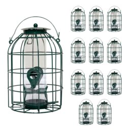 Rackhams Pack of 12 Wild Bird Seed Feeder Cage with Squirrel Guard