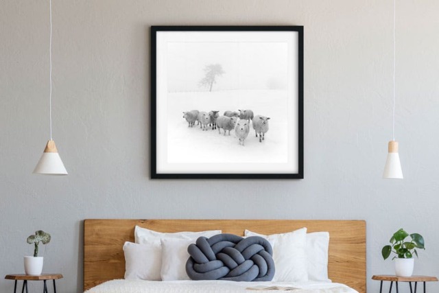 Rackhams Winter Woolies - Framed Print 24 x 24 inch - image 1