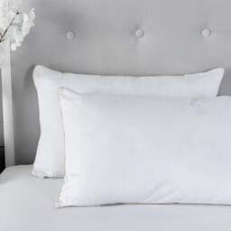 Rackhams Egyptian Cotton Pillow (Pair) - thumbnail 4