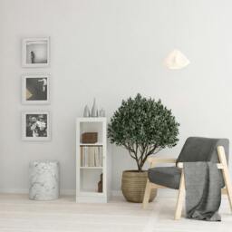 Rackhams Basic Low Narrow Display Cabinet in White (2 Shelves) with Glass White Door - Matt - Oak & White  - W 40.6 X  H 107.2 X  D 26.7cm - thumbnail 1