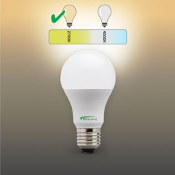 Rackhams E27 Edison Screw 8.1W GLS Dimmable LED Light Bulbs - Pack of 6 - thumbnail 4