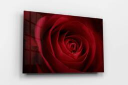 Rackhams Droplet on a Rose - Framed Print 16 x 12 inch - thumbnail 2