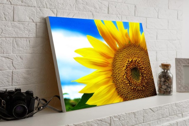 Rackhams Sunflower - Framed Print 16 x 12 inch - image 1