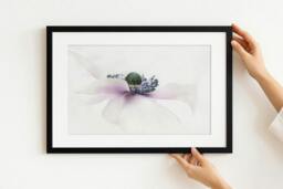 Rackhams Botanical Elegance - Framed Print 30 x 20 inch - thumbnail 1