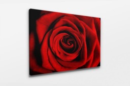 Rackhams Big Red - Framed Print 16 x 12 inch - thumbnail 4