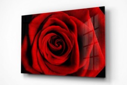 Rackhams Big Red - Framed Print 16 x 12 inch - thumbnail 2
