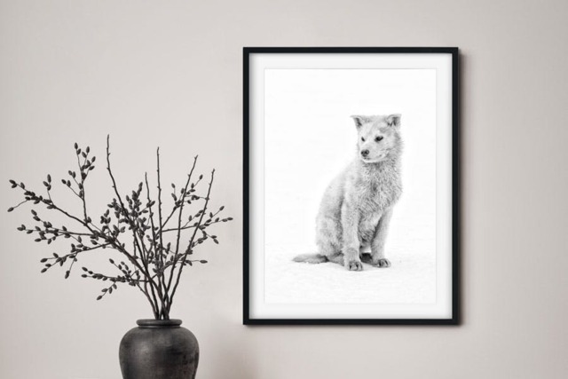 Rackhams Winter Spirit - Framed Print 30 x 20 inch - image 1