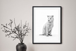 Rackhams Winter Spirit - Framed Print 30 x 20 inch