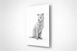 Rackhams Winter Spirit - Framed Print 30 x 20 inch - thumbnail 3