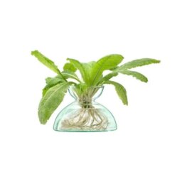 Rackhams LSA Canopy 9.5cm Recycled Glass Vase - Glass - 1 - Clear - thumbnail 4