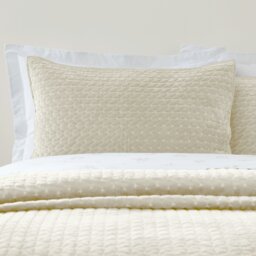 Rackhams Attica Velvet Embroidered Pillow sham Pair Natural - Natural