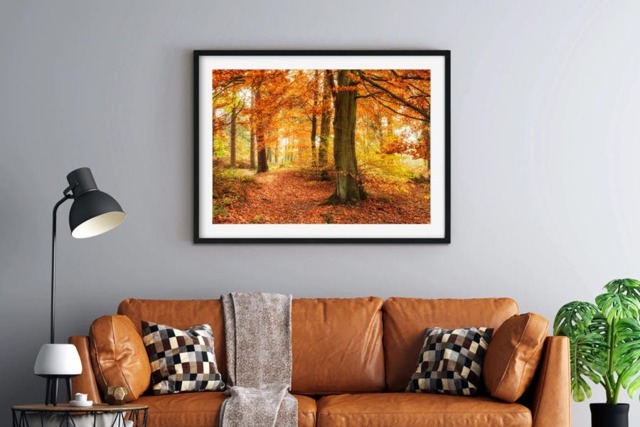 Rackhams Autumn Woodland - Framed Print 30 x 20 inch - image 1