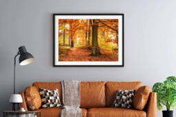 Rackhams Autumn Woodland - Framed Print 30 x 20 inch