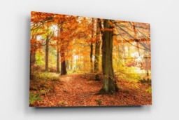 Rackhams Autumn Woodland - Framed Print 30 x 20 inch - thumbnail 2