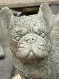 Rackhams Standing Frenchie Stone Statue Detailed Garden Ornament - thumbnail 2
