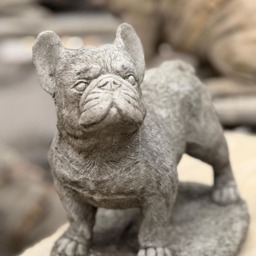 Rackhams Standing Frenchie Stone Statue Detailed Garden Ornament